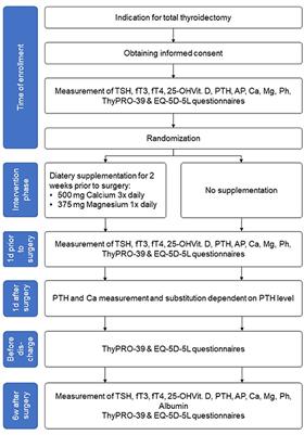 The Influence of Prophylactic Calcium and Magnesium Supplementation on Postoperative Quality of Life and Hypocalcemia After Total Thyroidectomy: Study Protocol for a Randomized Controlled Trial